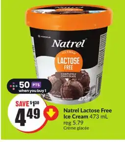 Chalo FreshCo Natrel Lactose Free Ice Cream 473 mL offer