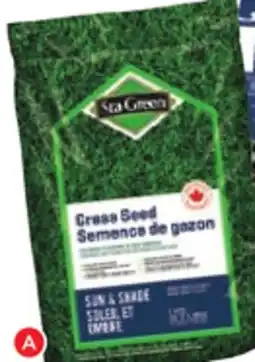 RONA Grass Seeds offer
