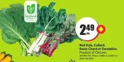 FreshCo Red Kale, Collard, Swiss Chard offer