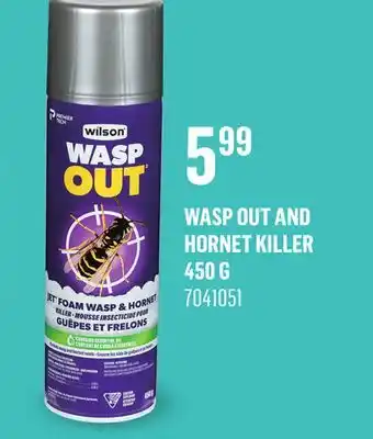 Canac Wasp Out and Hornet Killer 450 g offer