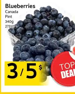 Mayrand Blueberries offer