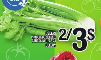 Marche Ami CÉLERI | CELERY offer