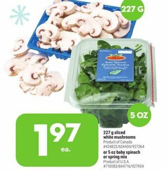Giant Tiger 227 g sliced white mushrooms offer