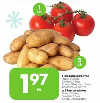Giant Tiger 1 lb tomatoes on the vine or 5 lb russet potatoes offer