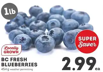 IGA BC FRESH BLUEBERRIES offer
