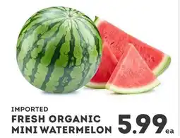 IGA IMPORTED FRESH ORGANIC MINI WATERMELON offer