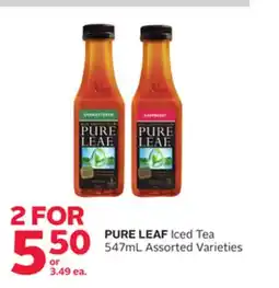 Rexall PURE LEAF Iced Tea offer