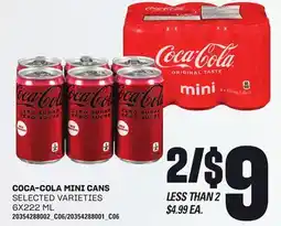Independent City Market COCA-COLA MINI CANS, 6X222 ML offer