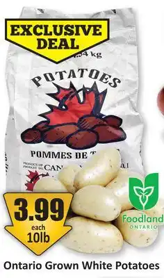 Starsky Ontario Grown White Potatoes offer