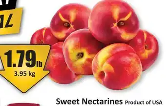Starsky Sweet Nectarines offer