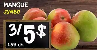 Marche Salaberry MANGUE offer