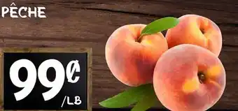Marche Salaberry PÊCHE offer