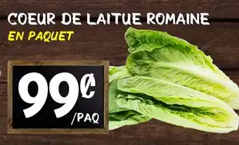 Marche Salaberry COEUR DE LAITUE ROMAINE offer