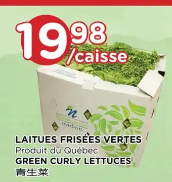 Kim Phat GREEN CURLY LETTUCES offer