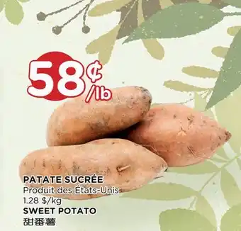 Kim Phat SWEET POTATO offer