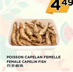 Kim Phat FEMALE CAPELIN FISH offer