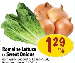 Farm Boy Romaine Lettuce or Sweet Onions offer
