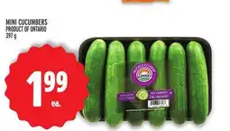 Metro MINI CUCUMBERS offer