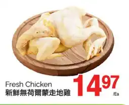 T&T Supermarket FRESH CHICKEN offer