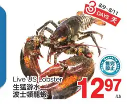 T&T Supermarket LIVE US LOBSTER offer