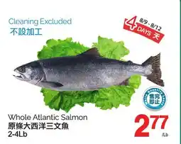 T&T Supermarket WHOLE ATLANTIC SALMON, 2-4Lb offer