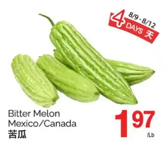 T&T Supermarket BITTER MELON offer