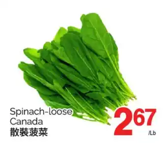 T&T Supermarket SPINACH-LOOSE offer