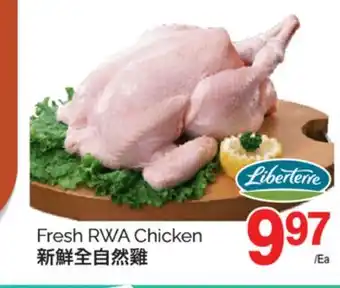 T&T Supermarket FRESH RWA CHICKEN offer