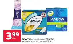 Rexall ALWAYS Pads or Liners or TAMPAX Tampons offer
