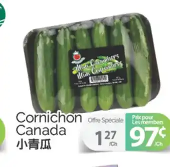 T&T Supermarket CORNICHON offer