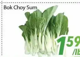 Bestco Food Mart Bok Choy Sum offer
