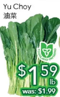 Ample Food Market Yu Choy offer