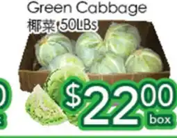 Ample Food Market Green Cabbage offer