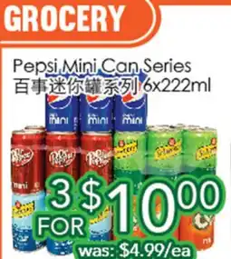 Ample Food Market Pepsi Mini Can Series offer