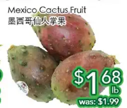 Ample Food Market Mexico Cactus Fruit offer