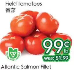 Ample Food Market Field Tomatoes offer