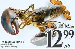 Al Premium Food Mart LIVE CANADIAN LOBSTER offer
