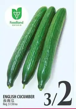 Al Premium Food Mart ENGLISH CUCUMBER offer