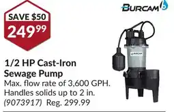 Princess Auto 1/2 HP Cast-Iron Sewage Pump offer