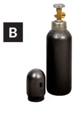 Princess Auto Gas Cylinders 100% Argon offer