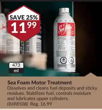 Princess Auto Sea Foam Motor Treatment offer