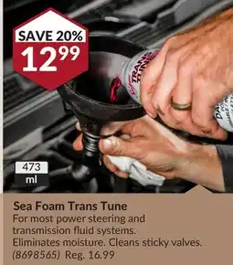 Princess Auto Sea Foam Trans Tune offer
