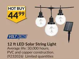 Princess Auto 12 ft LED Solar String Light offer