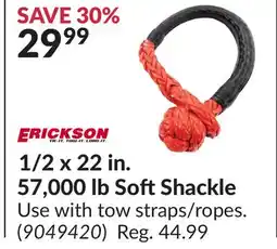 Princess Auto 1 x 22 in. 57, 000 lb Soft Shackle offer