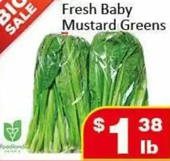 Jian Hing Supermarket Fresh Baby Mustard Greens offer