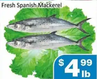 Jian Hing Supermarket Fresh Spanish Mackerel offer