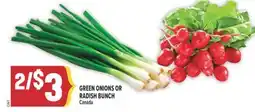 Marché Adonis GREEN ONIONS OR RADISH BUNCH offer