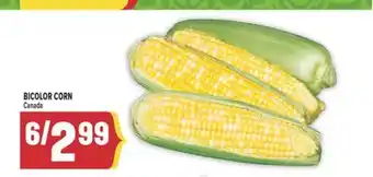 Marché Adonis BICOLOR CORN offer