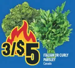 Marché Adonis ITALIAN OR CURLY PARSLEY offer