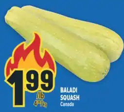 Marché Adonis BALADI SQUASH offer